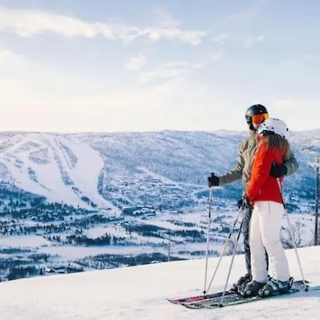 Toppleilighet Dr Holms Διαμέρισμα Geilo